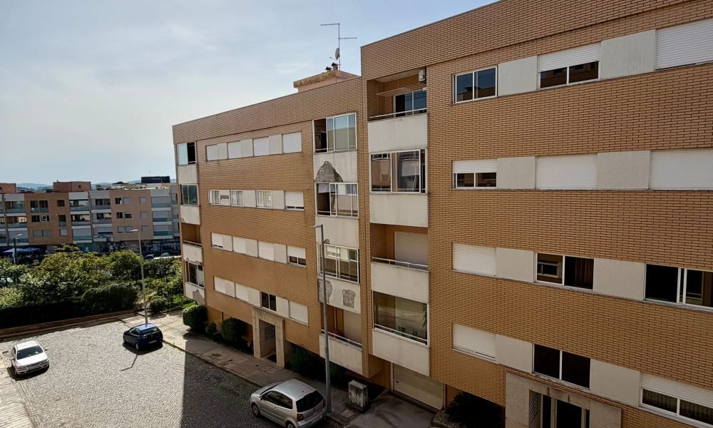 nogueira (11)
